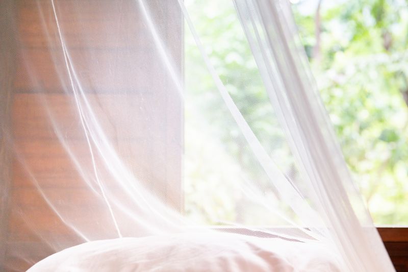 Preparation for Summer