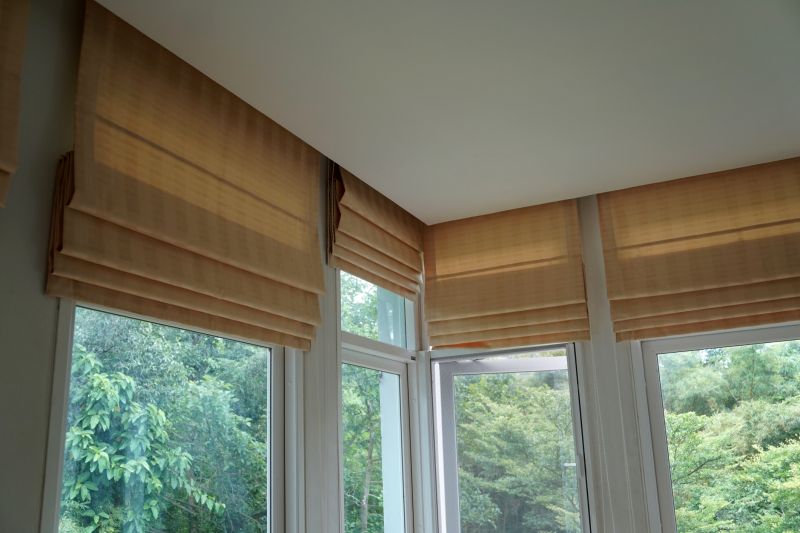 Pleated Shades Installation in Denver County, CO