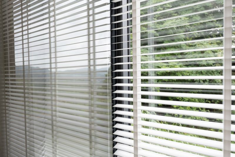 Venetian Blinds Cleaning in Madison, WI
